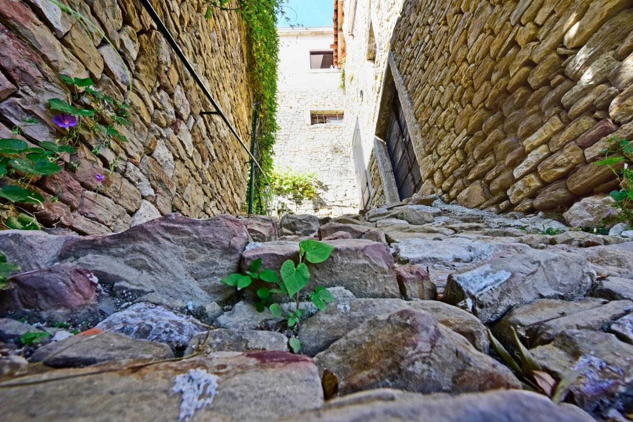 Villa Fragola Motovun Esterno foto